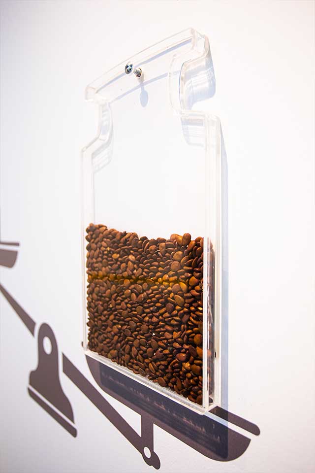 Buğday Yapım Fotoğraf Çekimi